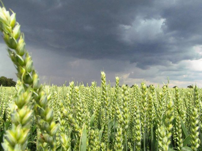 Opłacalna inwestycja - zdjęcia