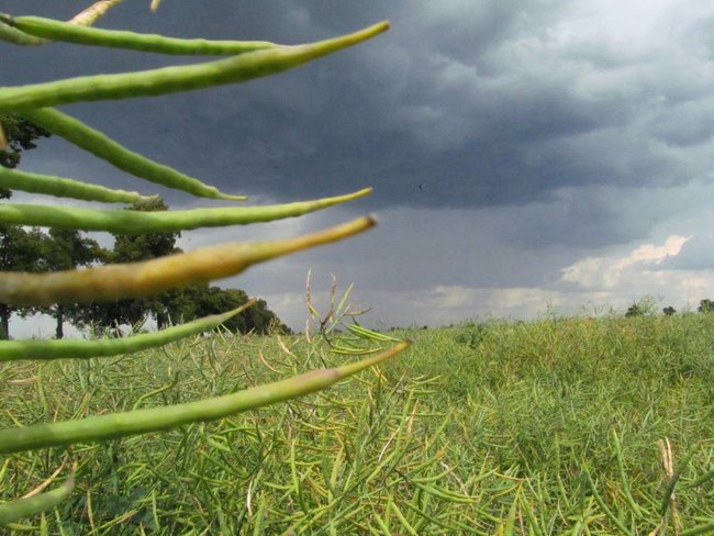 Opłacalna inwestycja - zdjęcia