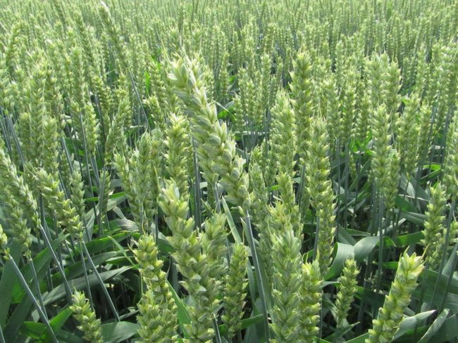 Opłacalna inwestycja - zdjęcia