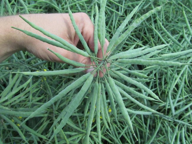 Opłacalna inwestycja - zdjęcia