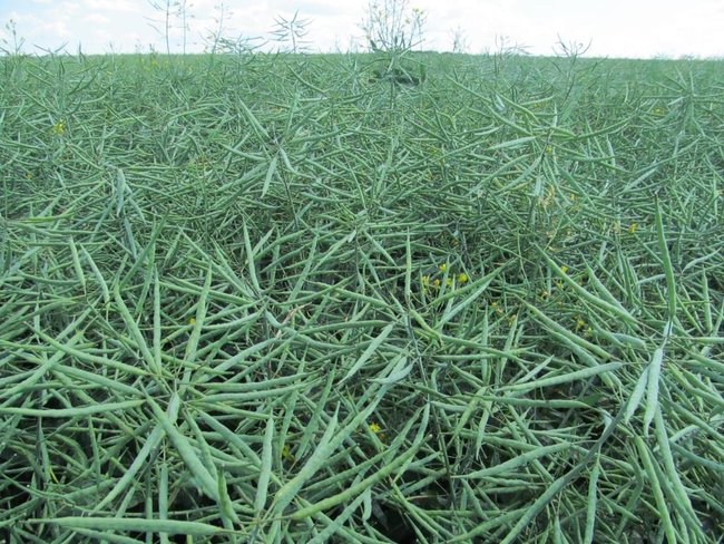 Opłacalna inwestycja - zdjęcia