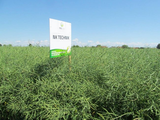 Opłacalna inwestycja - zdjęcia