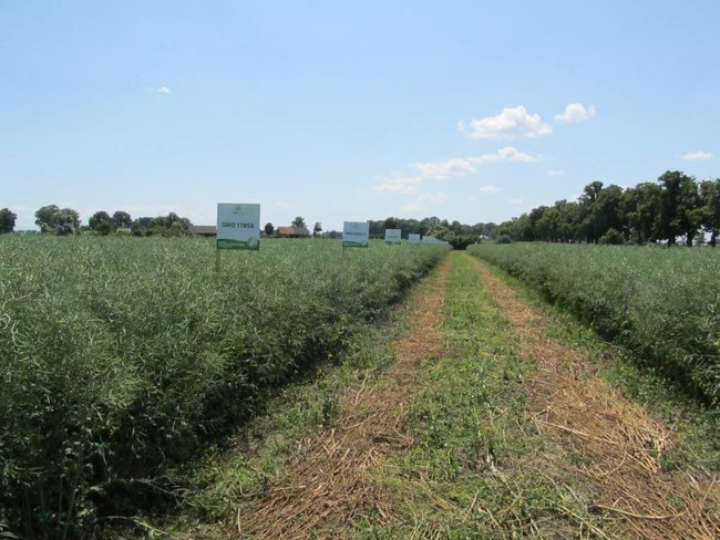 Opłacalna inwestycja - zdjęcia