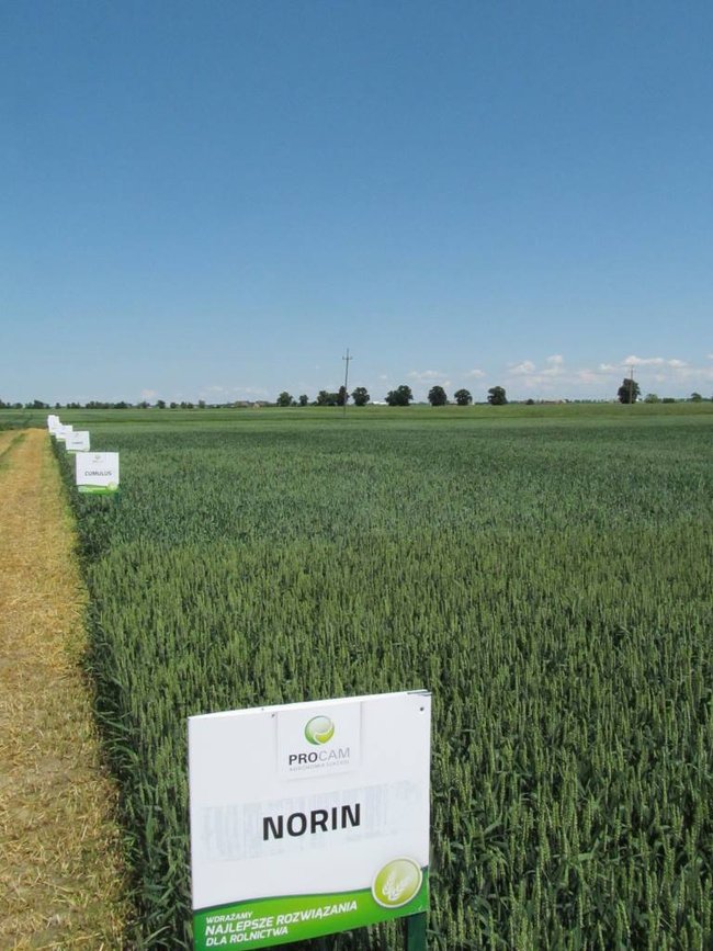 Opłacalna inwestycja - zdjęcia