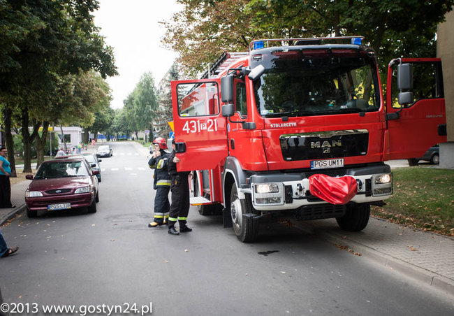 Najedli się strachu - zdjęcia