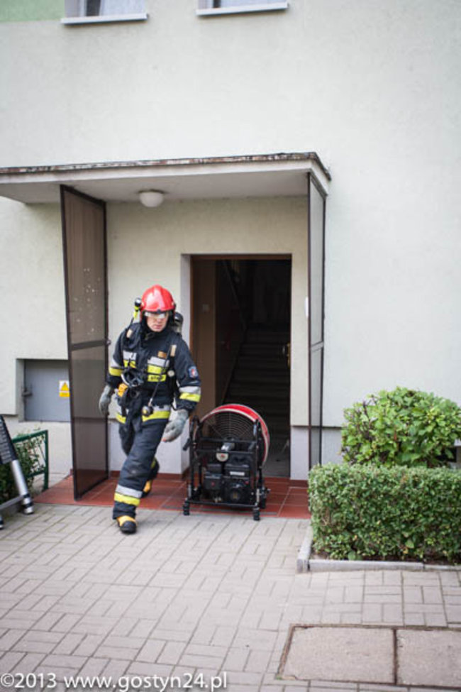 Najedli się strachu - zdjęcia