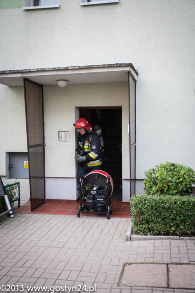 Najedli się strachu - zdjęcia