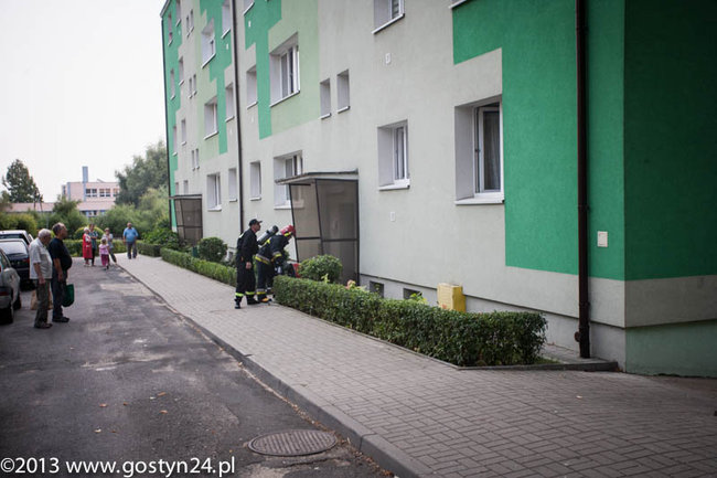 Najedli się strachu - zdjęcia