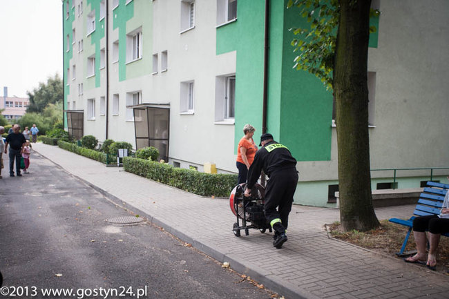 Najedli się strachu - zdjęcia