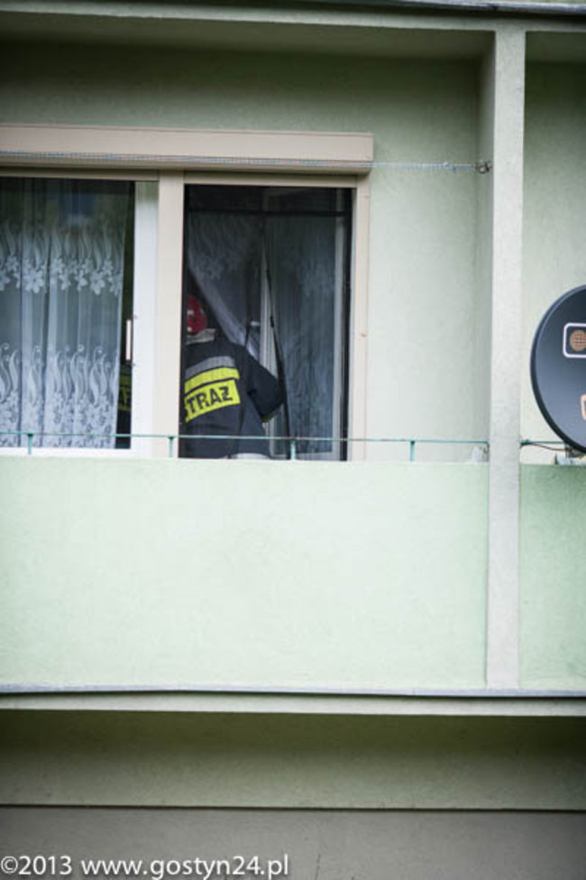 Najedli się strachu - zdjęcia