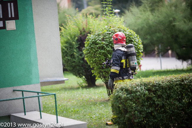 Najedli się strachu - zdjęcia