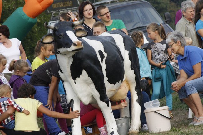 Stworzyli wyjątkowe miejsce - zdjęcia
