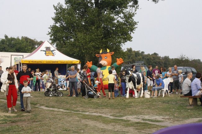 Stworzyli wyjątkowe miejsce - zdjęcia