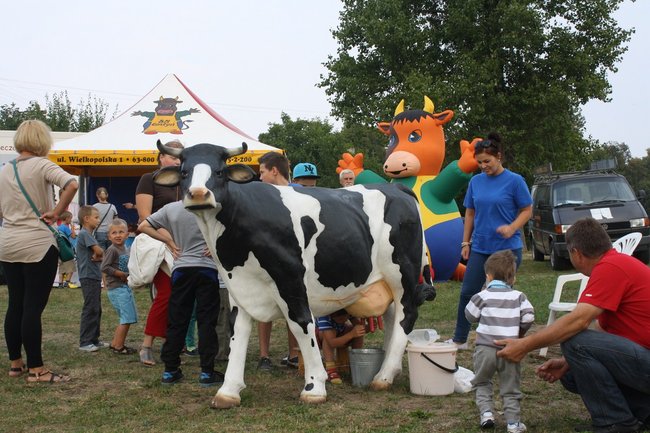 Stworzyli wyjątkowe miejsce - zdjęcia