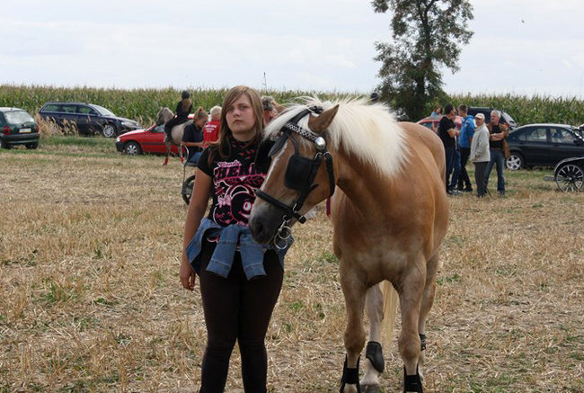 Z miłości do koni - zdjęcia