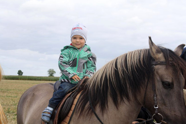 Z miłości do koni - zdjęcia