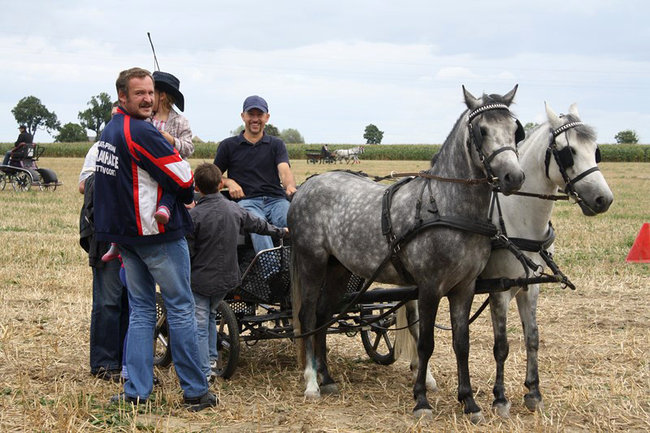 Z miłości do koni - zdjęcia