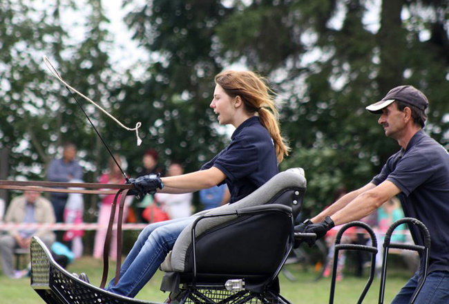 Z miłości do koni - zdjęcia