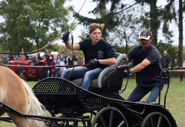 Z miłości do koni - zdjęcia