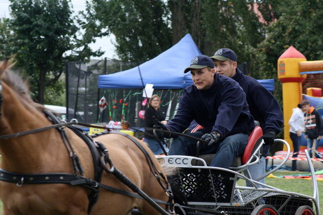Z miłości do koni - zdjęcia