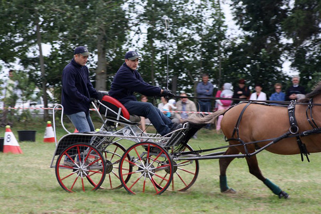 Z miłości do koni - zdjęcia