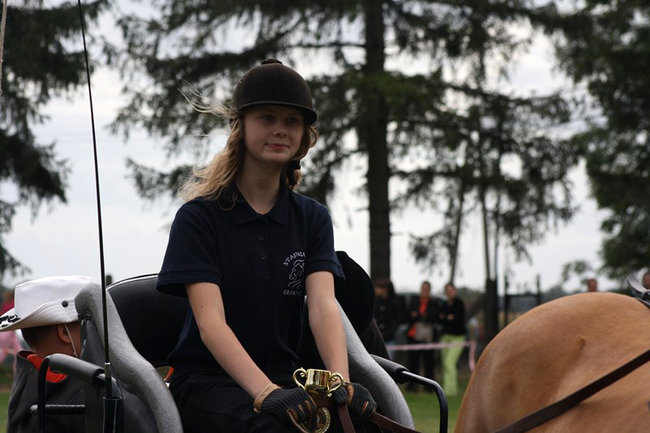 Z miłości do koni - zdjęcia