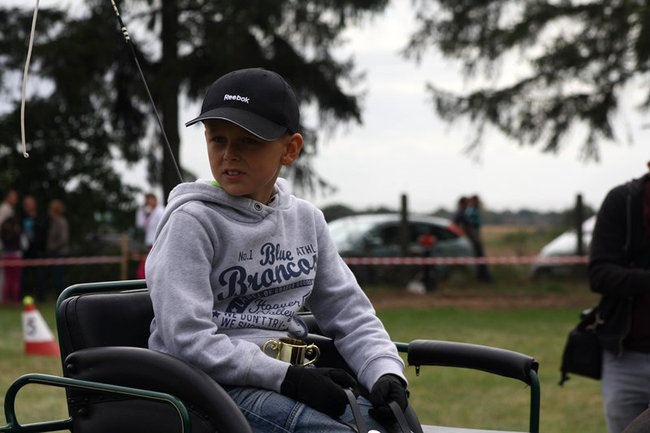 Z miłości do koni - zdjęcia