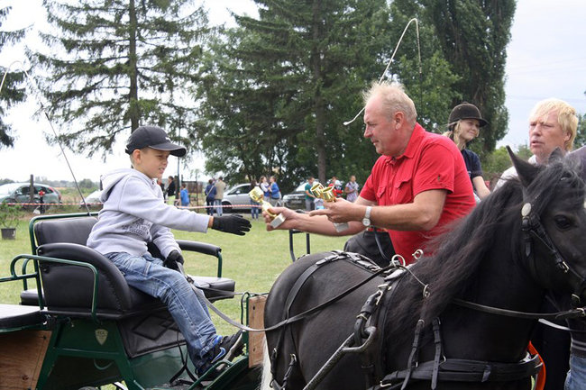 Z miłości do koni - zdjęcia