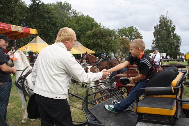 Z miłości do koni - zdjęcia