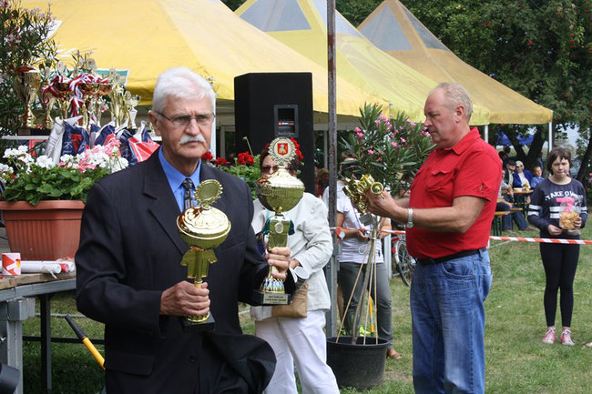 Z miłości do koni - zdjęcia