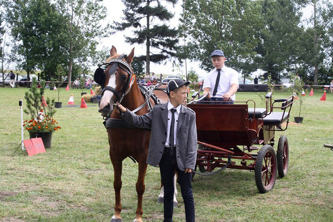 Z miłości do koni - zdjęcia