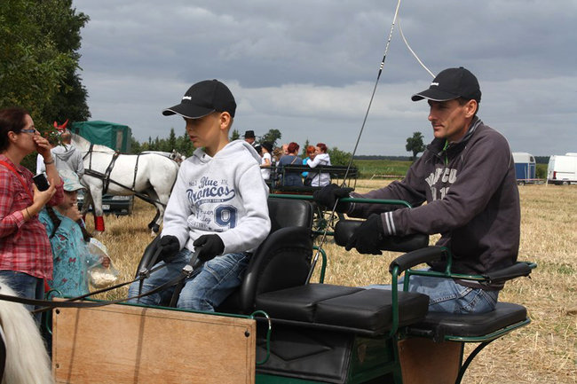 Z miłości do koni - zdjęcia