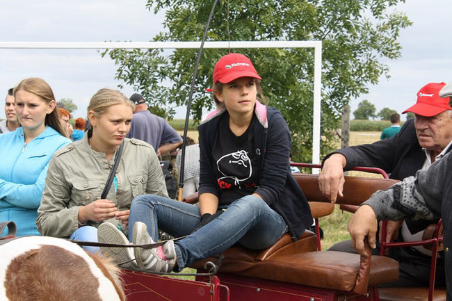 Z miłości do koni - zdjęcia