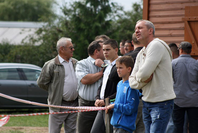 Z miłości do koni - zdjęcia