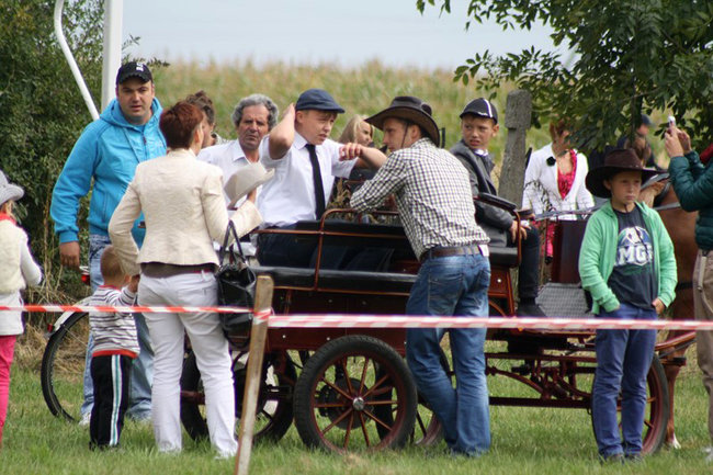 Z miłości do koni - zdjęcia