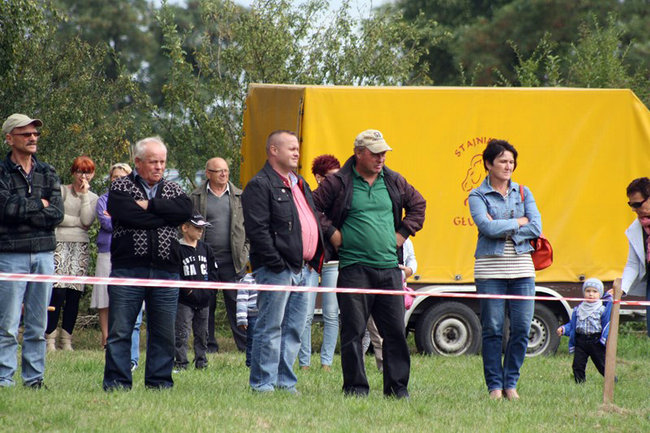 Z miłości do koni - zdjęcia