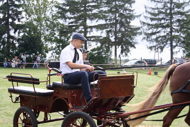 Z miłości do koni - zdjęcia