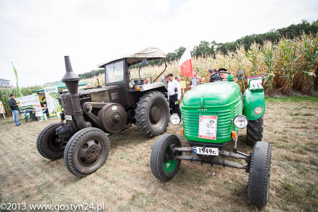 Kukurydziane żniwa - zdjęcia