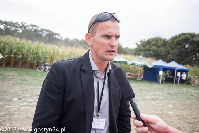 Kukurydziane żniwa - zdjęcia