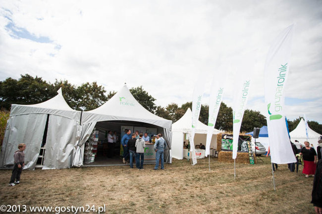 Kukurydziane żniwa - zdjęcia