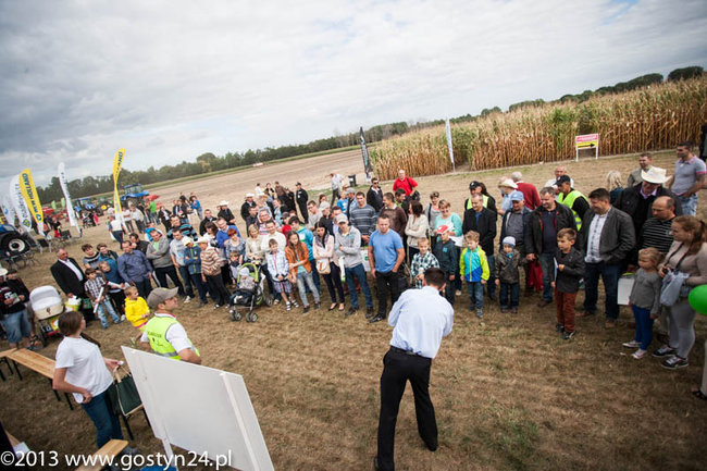 Kukurydziane żniwa - zdjęcia