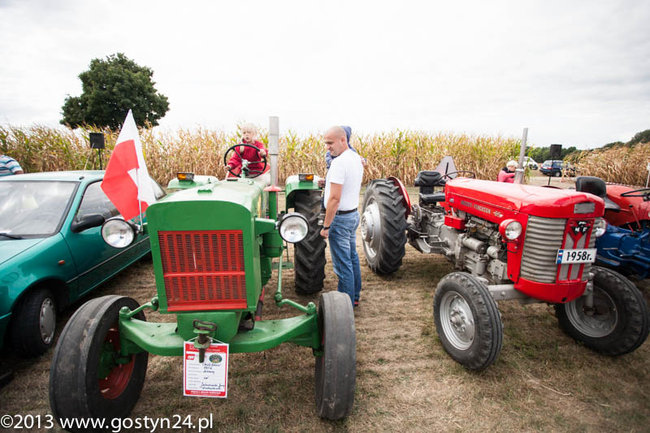 Kukurydziane żniwa - zdjęcia