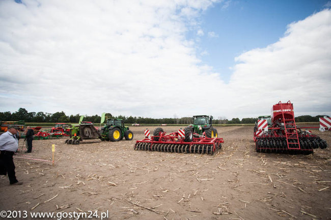 Kukurydziane żniwa - zdjęcia