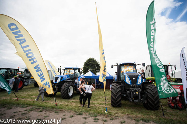 Kukurydziane żniwa - zdjęcia