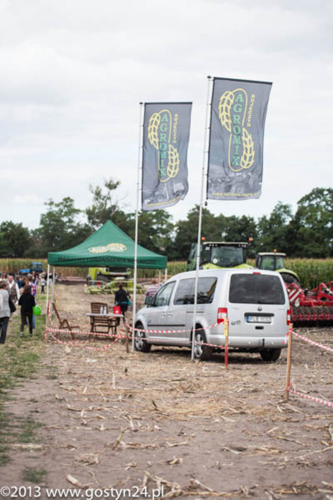 Kukurydziane żniwa - zdjęcia