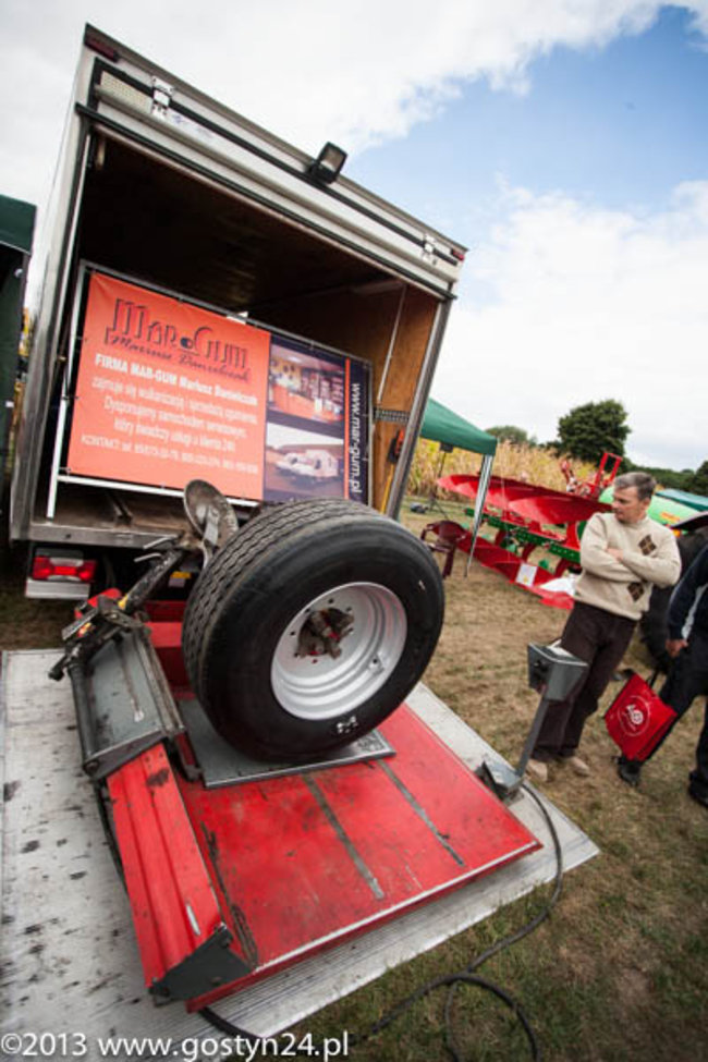Kukurydziane żniwa - zdjęcia