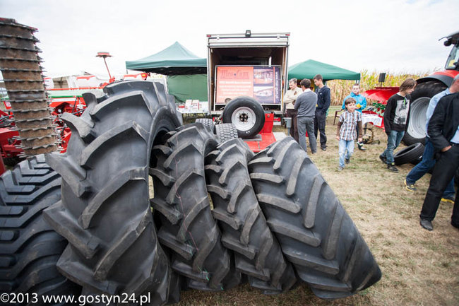 Kukurydziane żniwa - zdjęcia