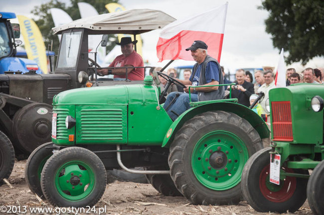 Kukurydziane żniwa - zdjęcia