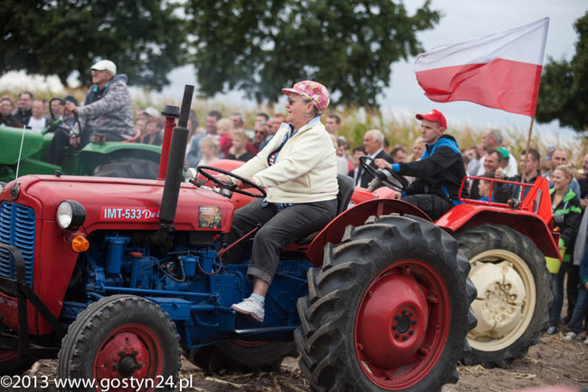 Kukurydziane żniwa - zdjęcia