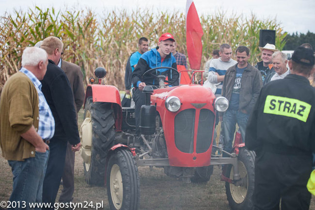 Kukurydziane żniwa - zdjęcia